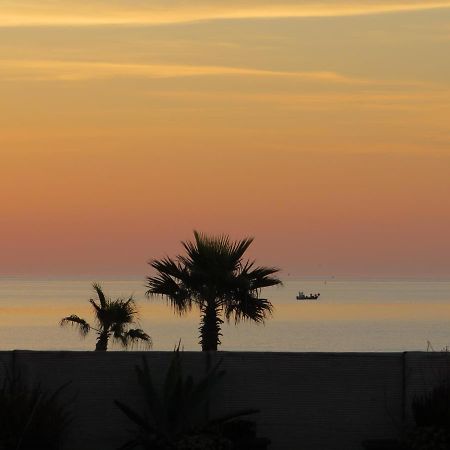 Ground Floor Studio With Access To Beach And Pool Le Barcarès Екстериор снимка